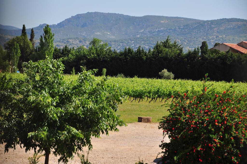 Chateau De Jonquieres - Herault Dış mekan fotoğraf